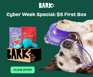 Super Chewer - Cyber Week Special! $5 First Box!